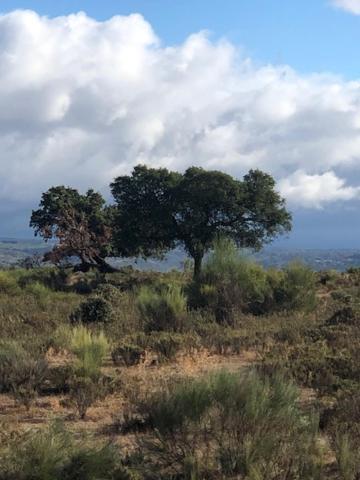 3 Marias Sao Sebastiao Villa Lousã Eksteriør bilde